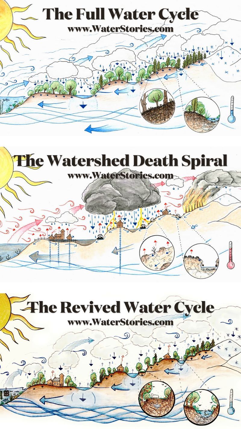 Water Stories Homepage